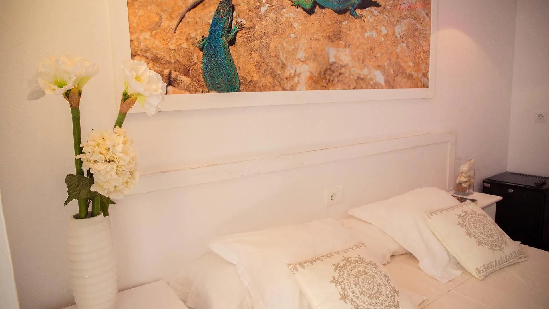Hostal Sunset Ibiza Sant Antoni de Portmany Spanien